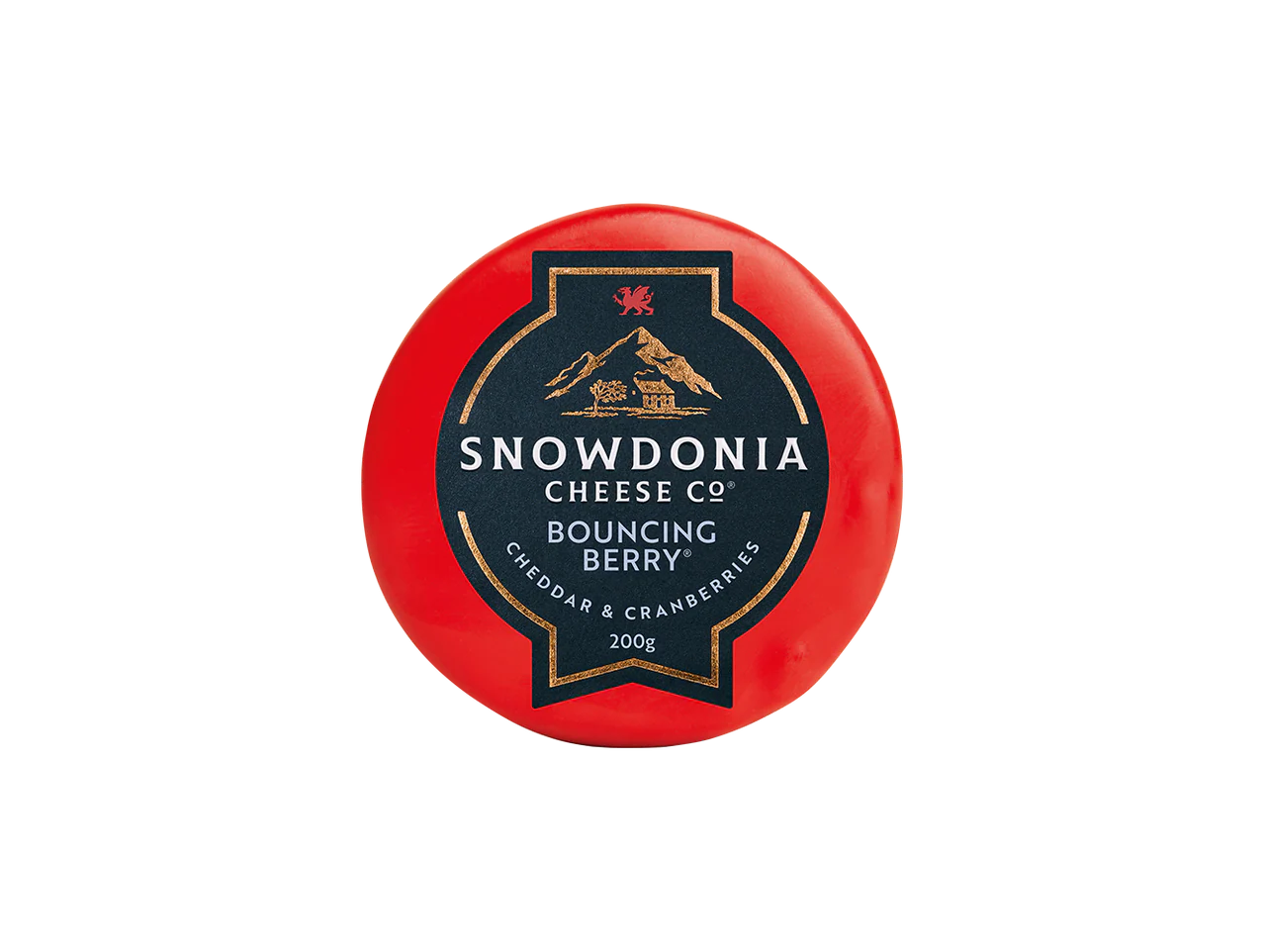 Snowdonia Bouncing Berry